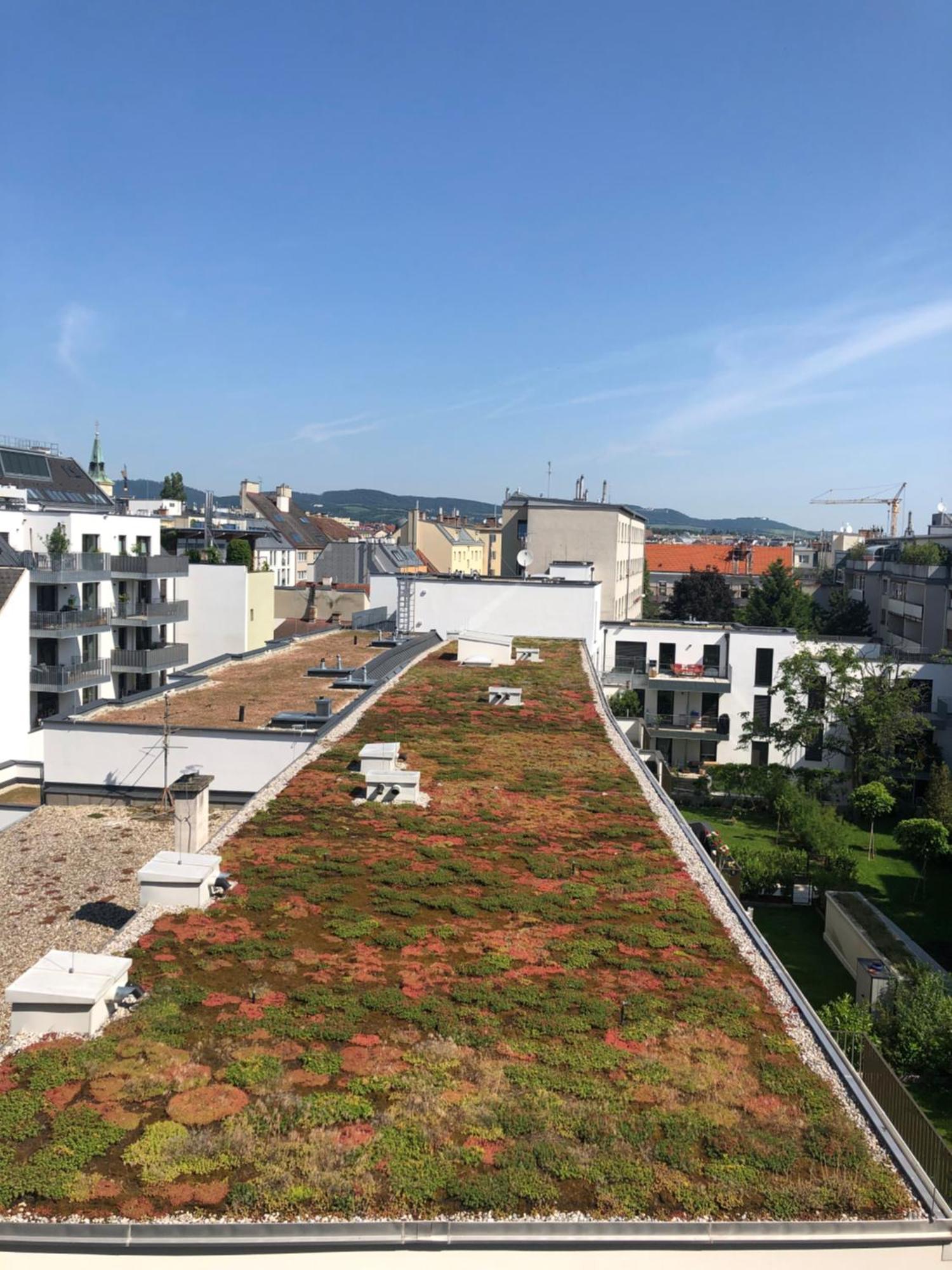 Vienna Sunny Side Up Apartments Bagian luar foto